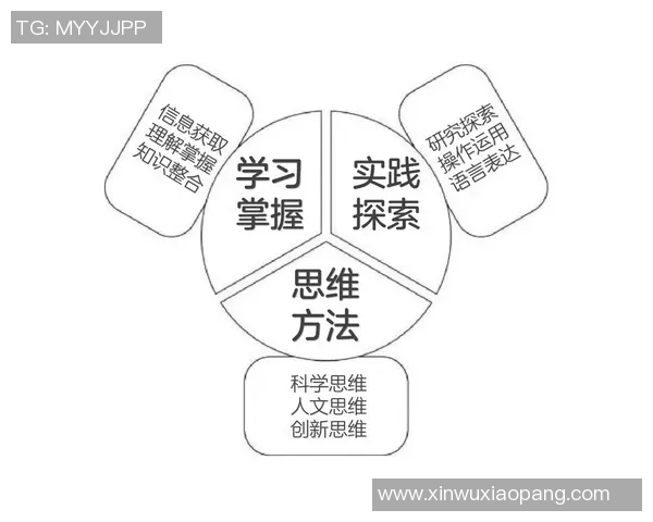 科学攀岩技术训练方法探讨与实践提升技巧的全面指南