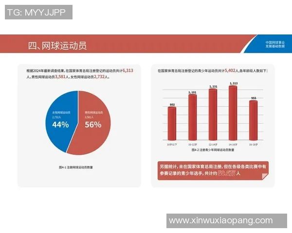 成都网球队个人能力表现数据分析与提升策略探讨