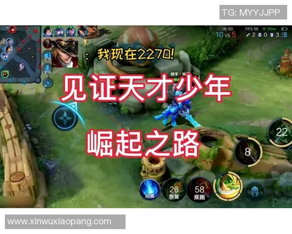 杭州乒乓球队的崛起之路:城市联赛背后的奋斗与荣耀 杭州乒乓球队的崛起之路:城市联赛背后的奋斗与荣耀