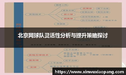 北京网球队灵活性分析与提升策略探讨