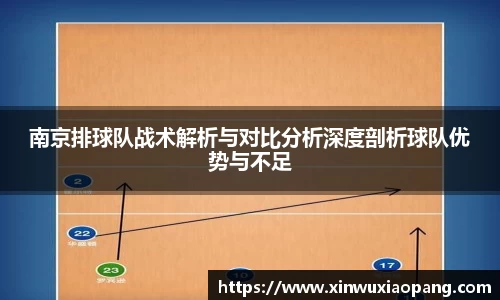 南京排球队战术解析与对比分析深度剖析球队优势与不足